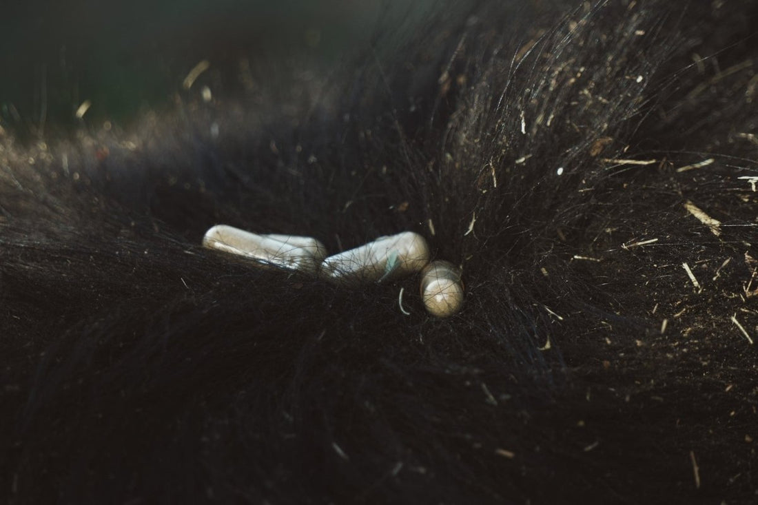 The Truth About Multivitamins: A Look at Their History and Viable Alternatives - Humanimal Organ Supplements