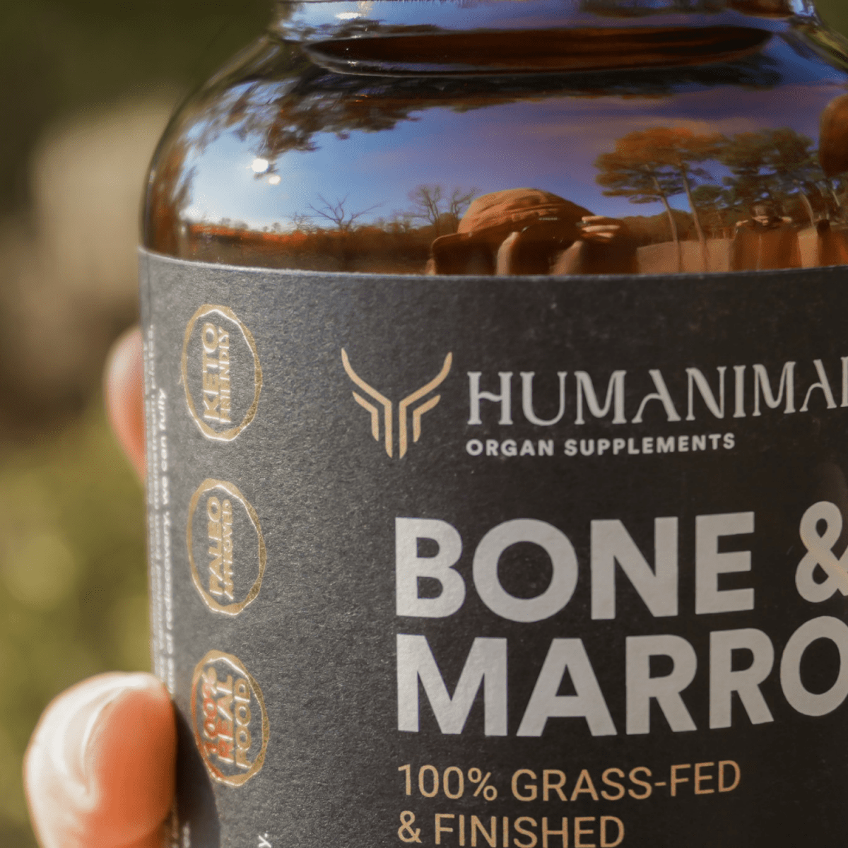 Bone & Marrow Supplement - Humanimal Organ Supplements